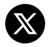 X Icon